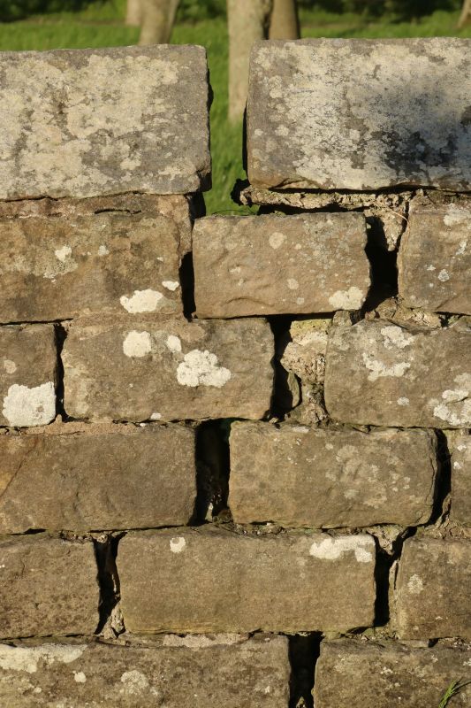 Stone Wall Repair in Orangevale, CA